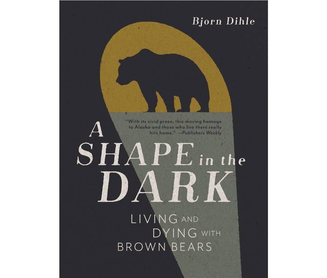 Figure Book in the Dark